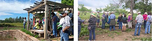 Urban Farm Tour photo